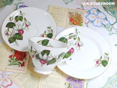 画像1: HA334 Hammersley  ハマースレイ フクシア ティートリオ (1)