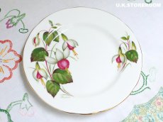 画像12: HA334 Hammersley  ハマースレイ フクシア ティートリオ (12)