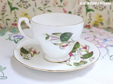 画像7: HA334 Hammersley  ハマースレイ フクシア ティートリオ (7)