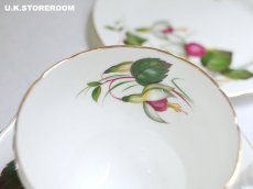 画像10: HA334 Hammersley  ハマースレイ フクシア ティートリオ (10)