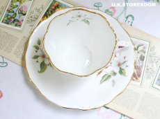 画像7: HA335 Hammersley  ハマースレイ ドッグウッドブラッサム ティーカップ＆ソーサー (7)