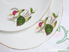 画像14: HA334 Hammersley  ハマースレイ フクシア ティートリオ (14)