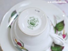 画像17: HA334 Hammersley  ハマースレイ フクシア ティートリオ (17)