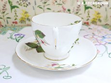 画像8: HA334 Hammersley  ハマースレイ フクシア ティートリオ (8)