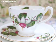 画像16: HA334 Hammersley  ハマースレイ フクシア ティートリオ (16)