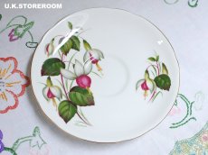 画像11: HA334 Hammersley  ハマースレイ フクシア ティートリオ (11)