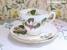 画像3: HA334 Hammersley  ハマースレイ フクシア ティートリオ (3)