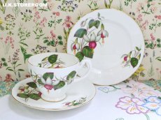 画像4: HA334 Hammersley  ハマースレイ フクシア ティートリオ (4)