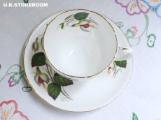 画像9: HA334 Hammersley  ハマースレイ フクシア ティートリオ (9)