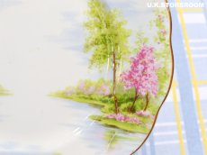 画像11: RA270 Royal Albert  ロイヤルアルバート オールドミル  ティートリオ (11)