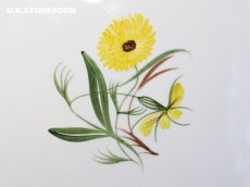 画像4: SC742 Susie Cooper  スージークーパー マリーゴールド  ディナープレート  (4)