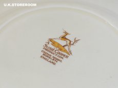 画像21: SC743 Susie Cooper  スージークーパー スワンシースプレイ ティートリオ (21)