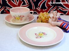 画像3: SC743 Susie Cooper  スージークーパー スワンシースプレイ ティートリオ (3)